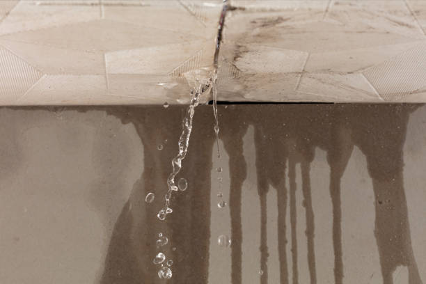 Professional Water Damage Repair technician working in Galloway, OH
